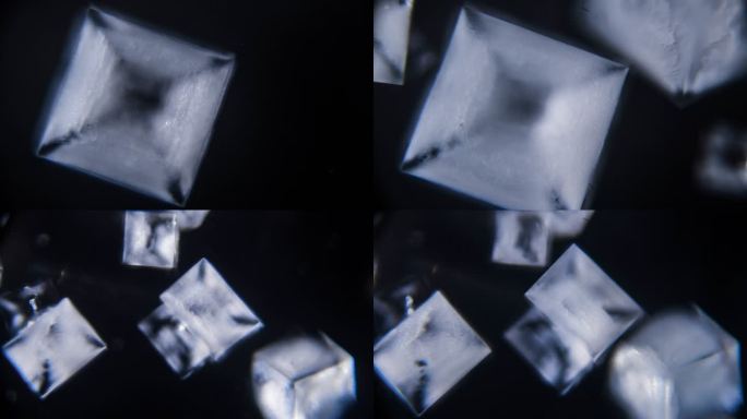 显微镜观察盐结晶 4k延时