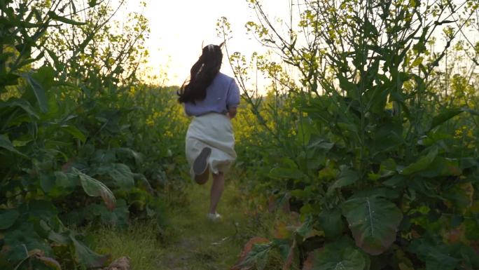 美女油菜花田里奔跑背影田野菜园奔跑背影