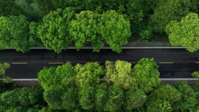 丛林海边城市奔跑