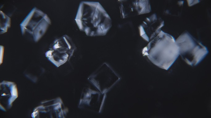 显微镜下的盐结晶观察 4k延时