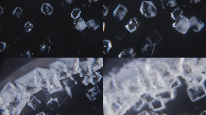 显微镜下的盐结晶观察 4k延时