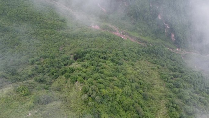 临洮南屏山4A景区