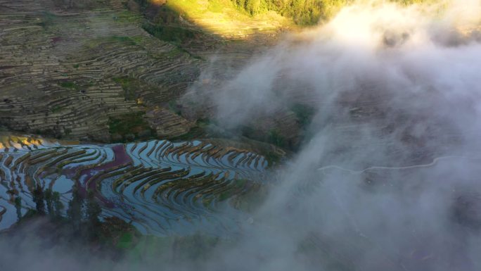 航拍梯田景观