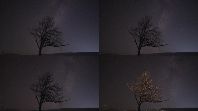 4K延时新疆天山银河孤树星空树林伊犁风光