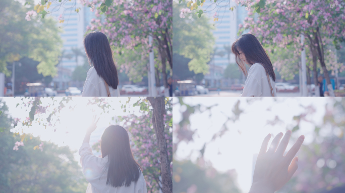 女孩在紫荆花树下等人，向阳光挥手4k视频
