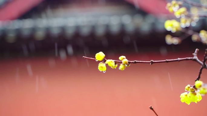 城隍庙大雪镜头