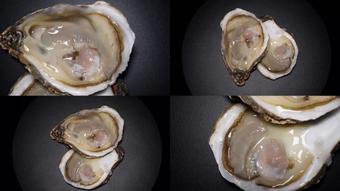 【镜头合集】海蛎子打开的生蚝牡蛎海洋牛2