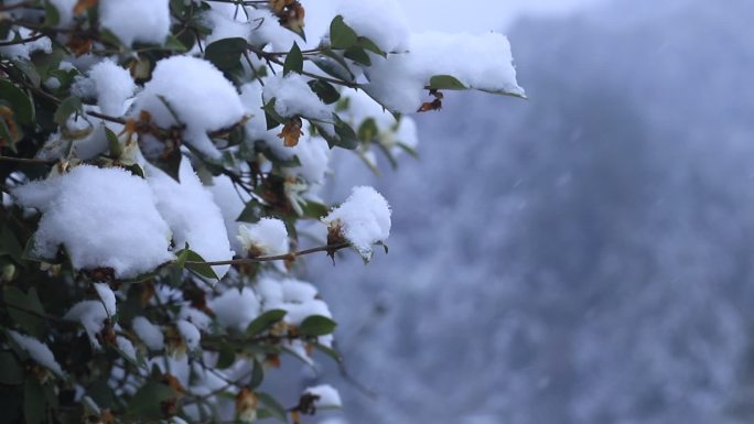 雪景素材 飘雪 山景