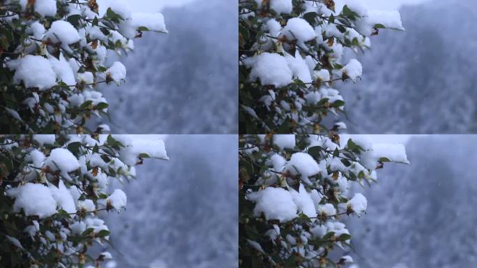 雪景素材 飘雪 山景