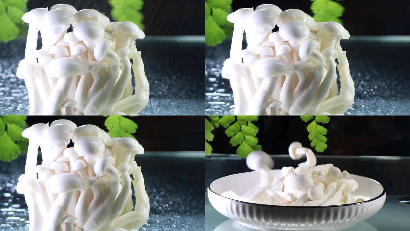 蘑菇 白玉菇 食用菌 原创 创意