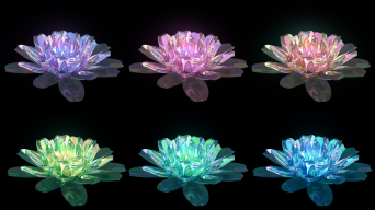 特效花朵绽放视频素材下载, 特效花朵绽放ae模板下载_光厂(vj师网)