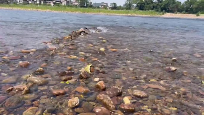 溪水夏日河边玩水清澈的水清凉石头