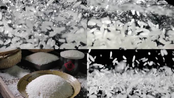 米大米粒农业水稻米饭粮食升格高速慢动作