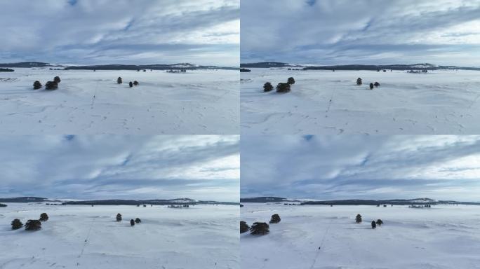 航拍内蒙古鄂温克林海雪原