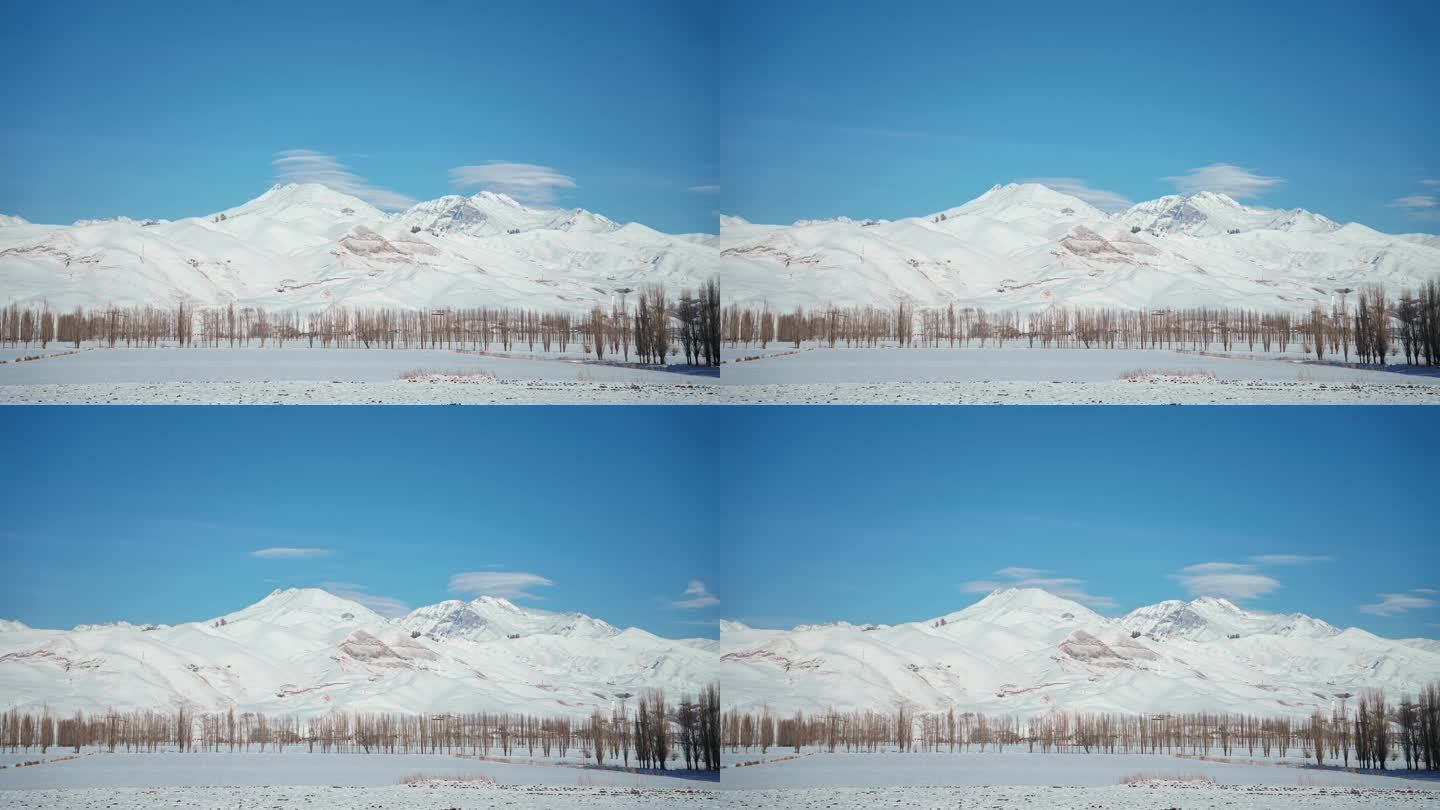 4K延时新疆雪山树林蓝天白云流云枯树天山