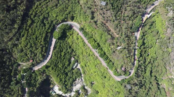 仙岳山公园蜿蜒曲折的山路