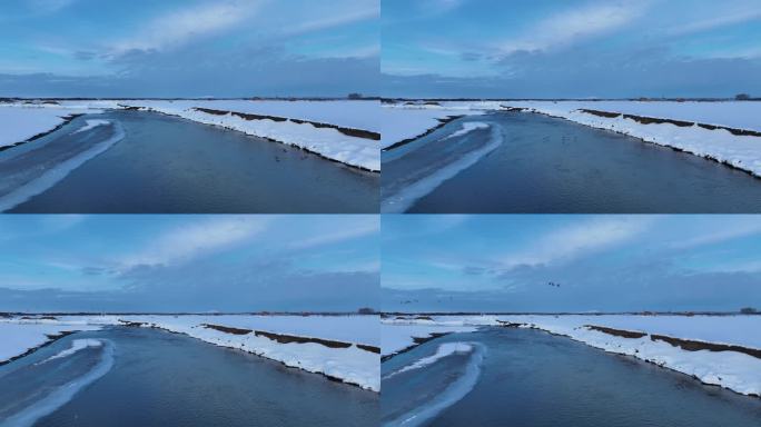 春季河水开化冰河雪景