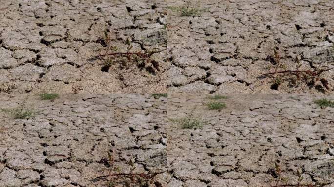 干涸的土地缺水旱灾