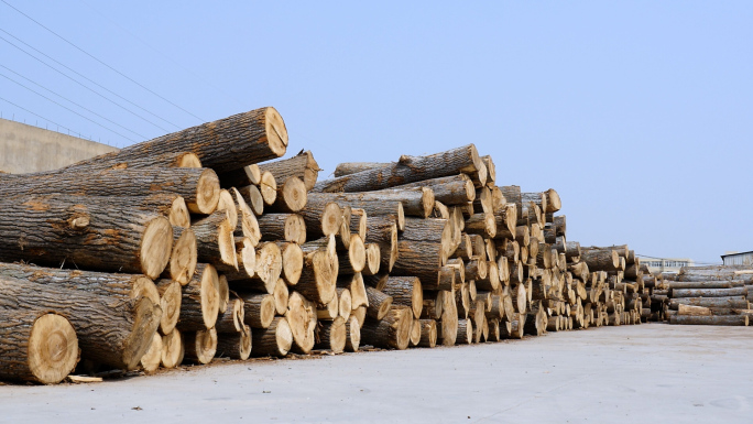 原木木材加工厂素材