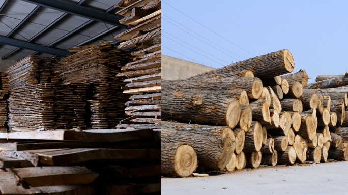 原木木材加工厂素材