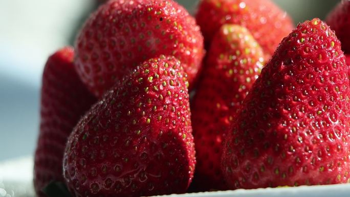 阳光下带水珠的草莓