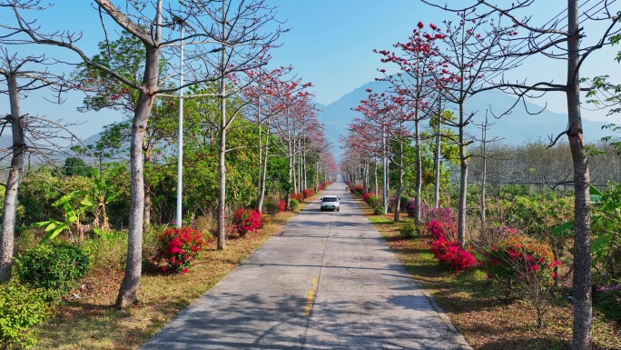 航拍海南昌江七叉镇美丽公路_11