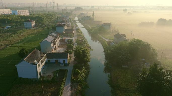 江苏盐城张东村庄稼地云雾日出