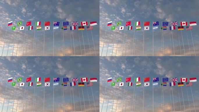 【原创】G20国旗