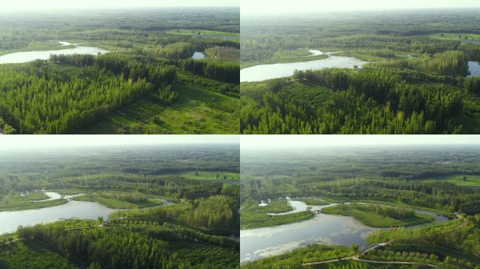 森林生态湿地公园航拍