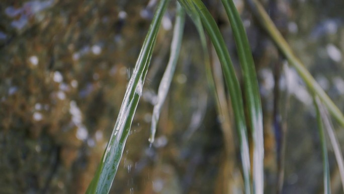 水的灵动：水滴