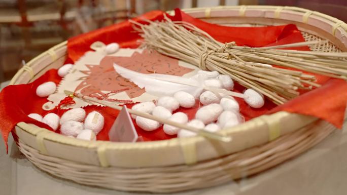 蚕茧 中国丝绸博物馆 丝绸文化