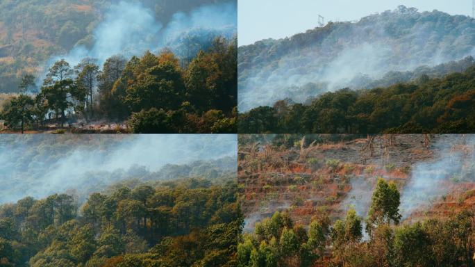 森林防火消防森林消防山火