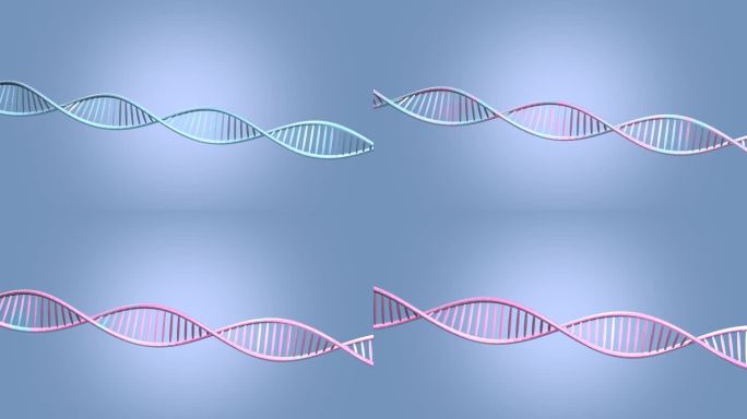 护肤品成分分子细胞DNA结构修复视频素材