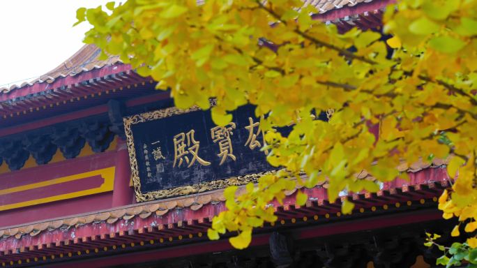 4k长沙洗心禅寺寺庙大雄宝殿和银杏