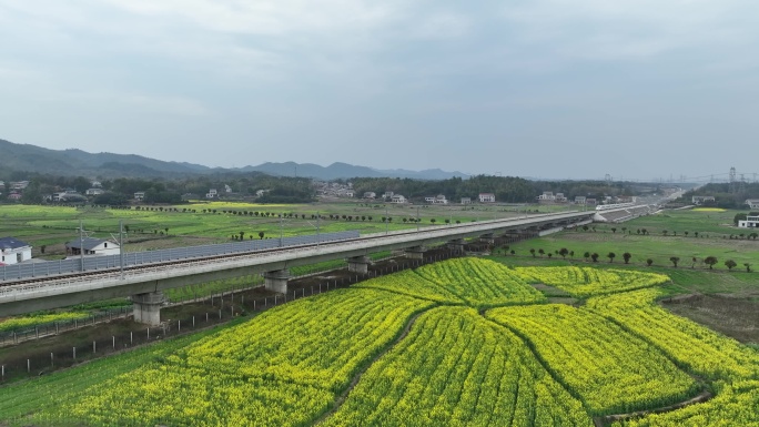 油菜花高铁开往春天的高铁