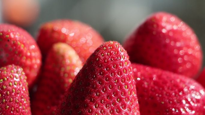 喷水壶下的草莓