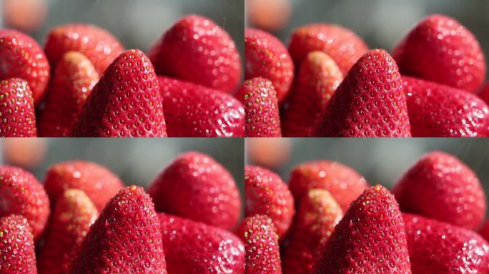 喷水壶下的草莓