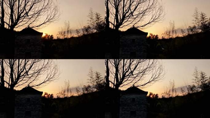 枯藤老树落日夕阳