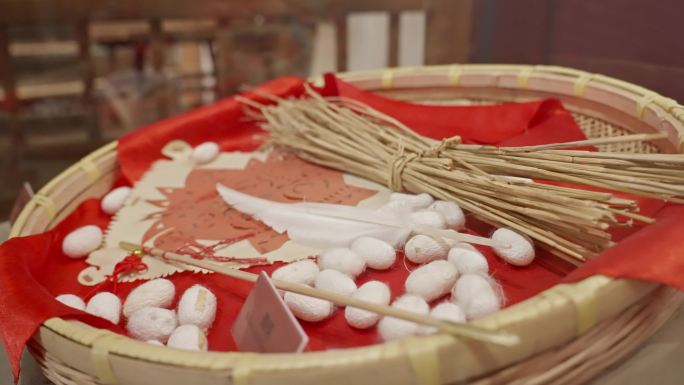 蚕茧 中国丝绸博物馆 丝绸文化