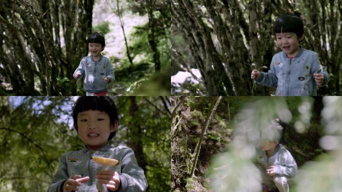 小女孩在林间采蘑菇