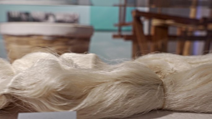 桑蚕丝 中国丝绸博物馆 丝绸文化
