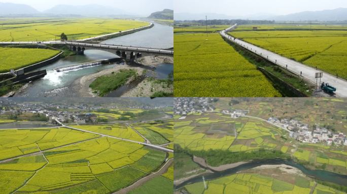 秀山大片油菜花海