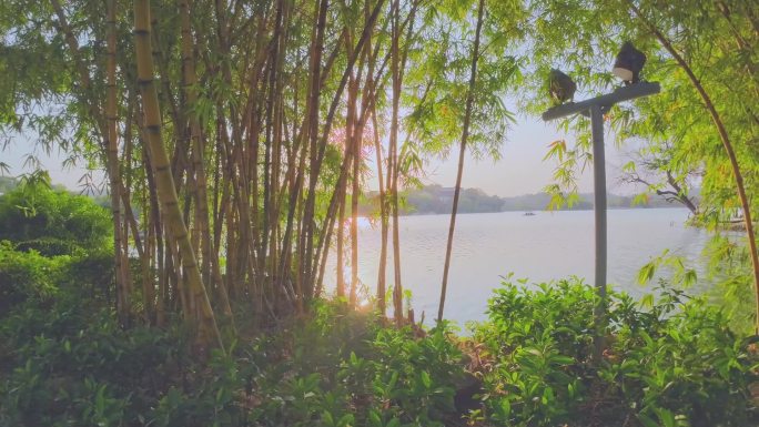 惠州西湖夕阳下的美景