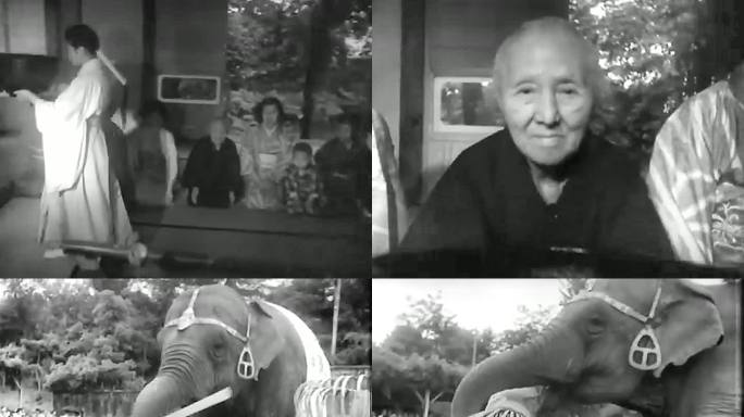 1953年日本抹茶节