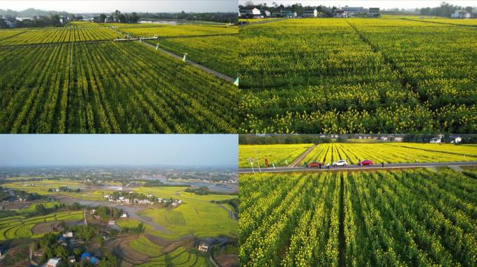 现代农村大美田园