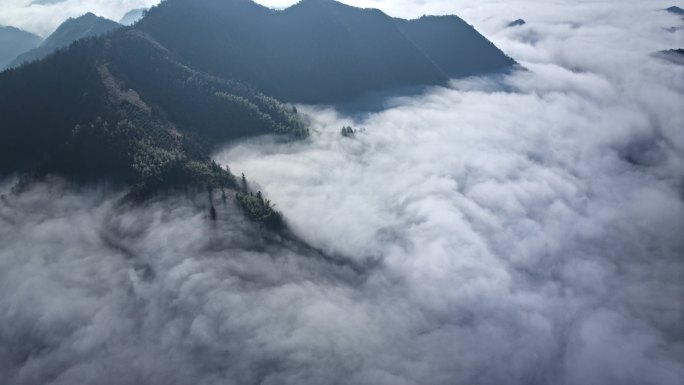 黄山茶山云海航拍延时