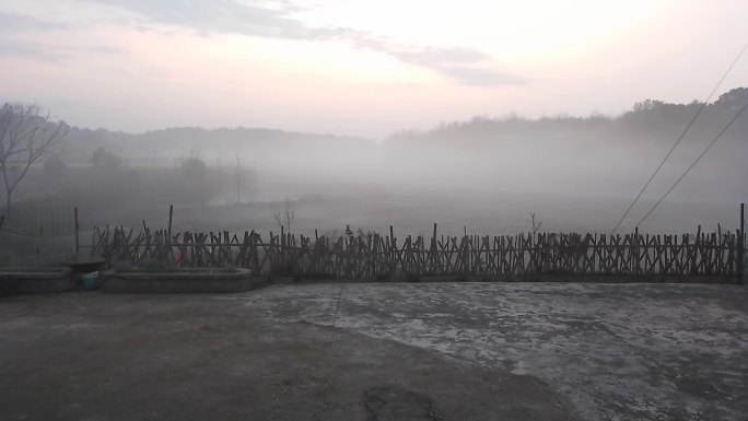 农村清晨鸟的叫声 迷雾围绕渐渐消散