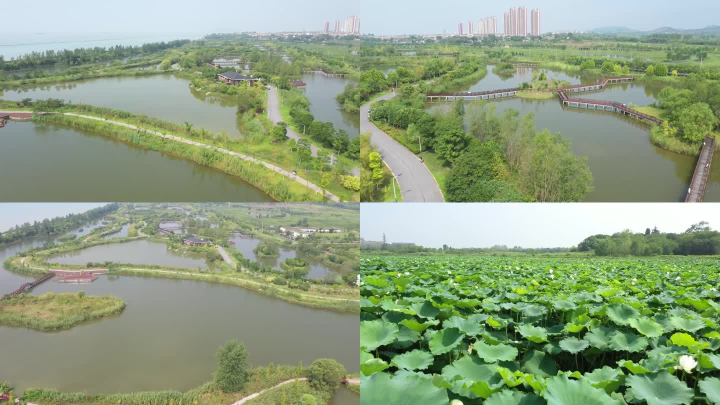 花塘河湿地