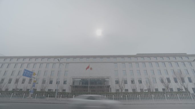 政府大楼 国旗