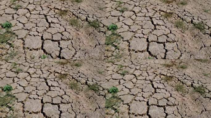 干涸的土地缺水旱灾